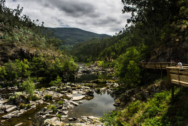 istock Walkway Along the Rocky River in the Mountains 954418978