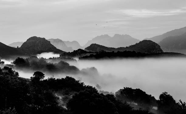 istock Mountain Landscape Amidst the Mist 954427580
