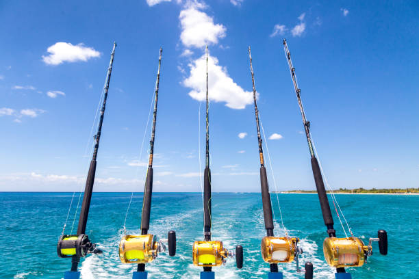 fila de cañas de pesca de mar profundo en barco - fishing reel fotografías e imágenes de stock