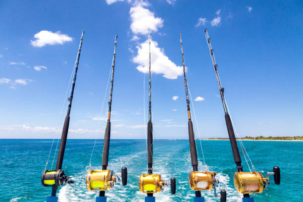 row of deep sea fishing rods on boat - carretel de pesca imagens e fotografias de stock