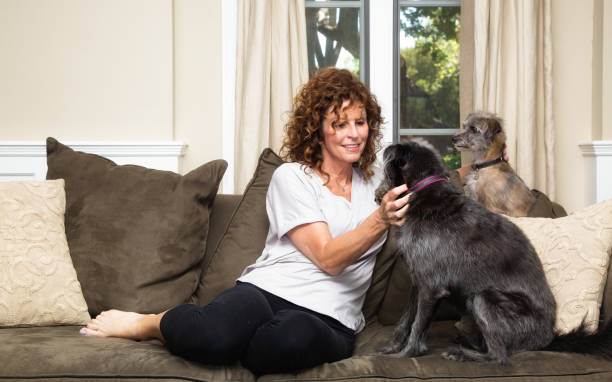 istock Pet Sitter on Couch Petting Dogs 954432540