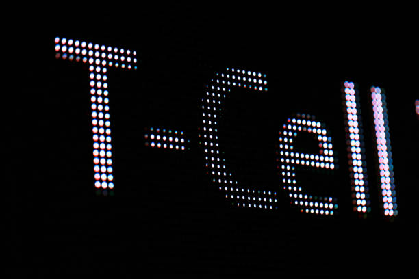 istock T cell letter in LED billboard screen 954433766