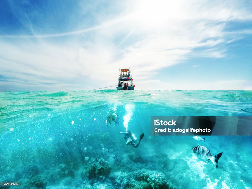 Divers and Boat in the Caribbean Sea Scuba divers underwater and fishing tour boat above the Caribbean Sea in Cozumel, Mexico Nautical Vessel Stock Photo