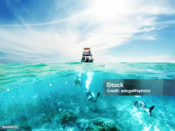 Divers And Boat In The Caribbean Sea Stock Photo - Download Image Now - Nautical Vessel, Fishing, Sea