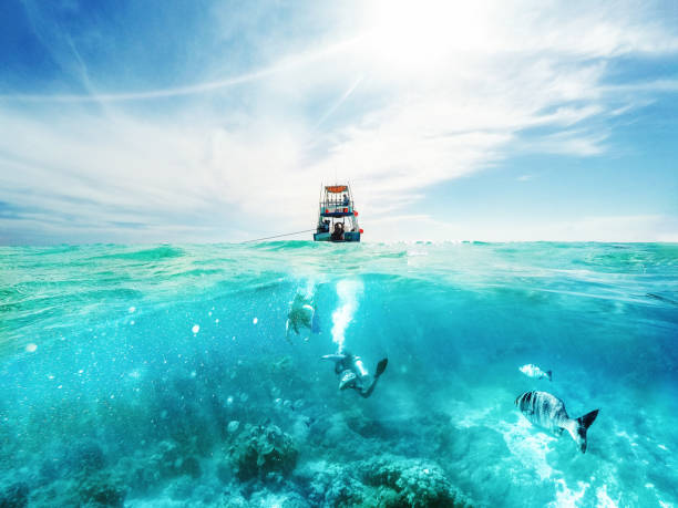 divers and boat in the caribbean sea - underwater diving scuba diving underwater reef imagens e fotografias de stock