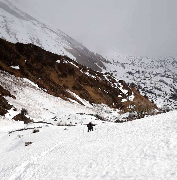 istock Alpinists in the Snowy Mountains 954442472