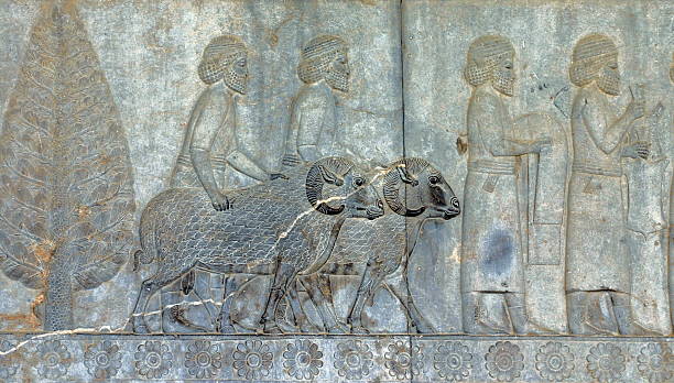 istock Ancient bas-reliefs of Persepolis, Iran 95445829