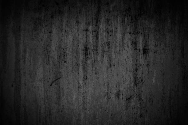 istock Texture of black burned grass. Black grass after fire on a field. 954470216