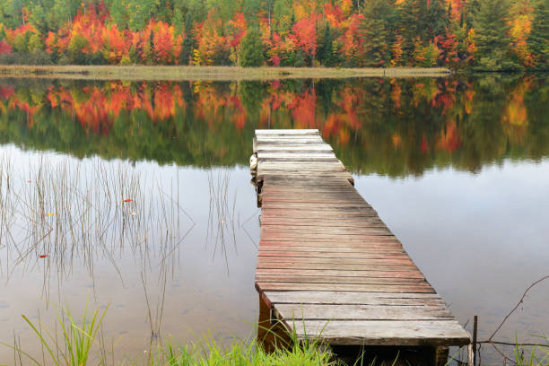 istock Empty pier over lake in Autumn 954478262