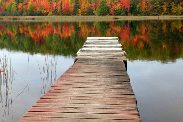 istock Empty pier over lake in Autumn 954478266