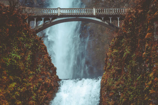 istock Gloomy Wooden Bridge 954479306