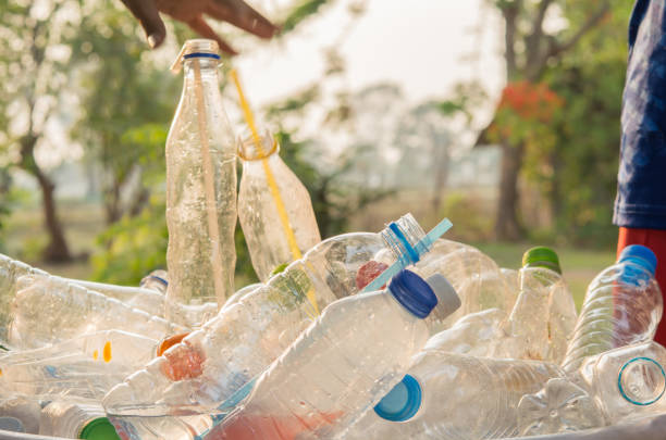 istock Bottle recycling On the lawn 954481882