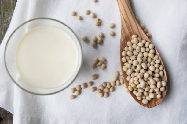 istock Soybeans and Soy milk Flat Lay 954481950