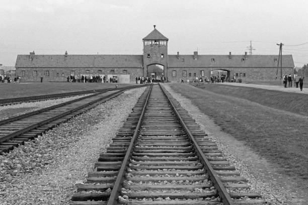 entrée de rail au camp de concentration à auschwitz birkenau kz, photographie noir et blanche avec effet de bruit d’image, pologne - rail fence photos et images de collection