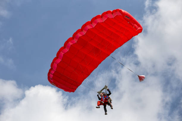 Tandem paratroopers descends on a red parachute stock photo