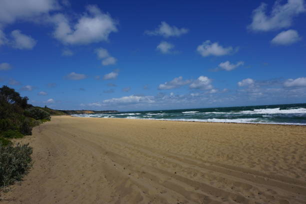 istock Beach close to Melbourne City 954494730