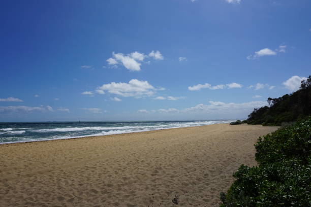 istock Beach close to Melbourne City 954494754