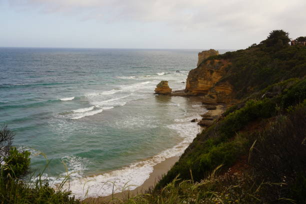istock Beach at Great Ocean Road 954495274
