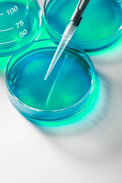 istock Pipette, petri dish and beaker 954499822