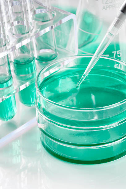 istock Pipette, petri dish, test tubes and beaker 954499900