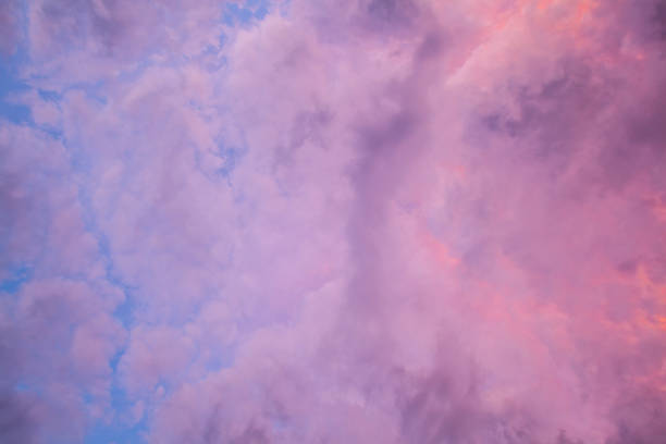 istock Looking up at purple vivid overcast sky 954501300