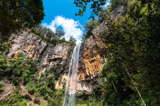 istock Beautiful waterfall in Queensland, Australia 954501944