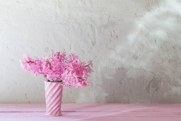 istock pink hyacinths in vase on white background 954505992