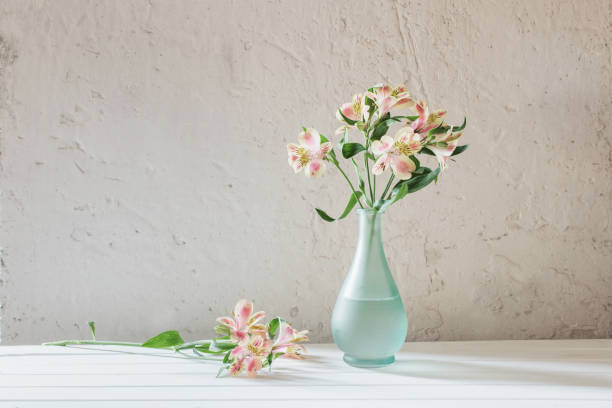 istock Alstroemeria in vase on grunge white background 954506012