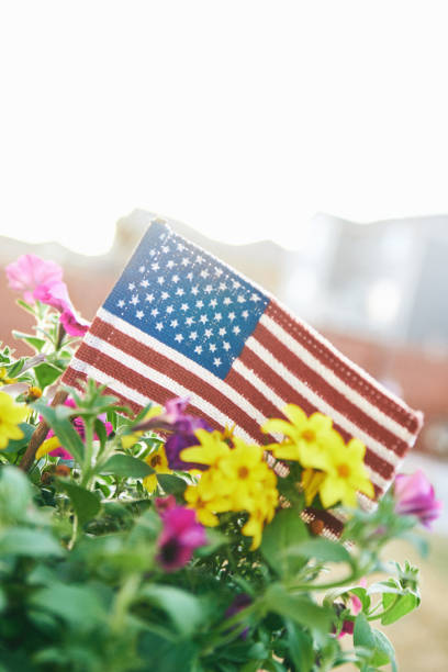istock American flag and flowers with beautiful backlight 954506606