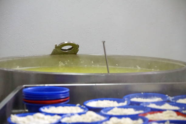 istock Cheese curds in bowls in a cheese factory 954509560