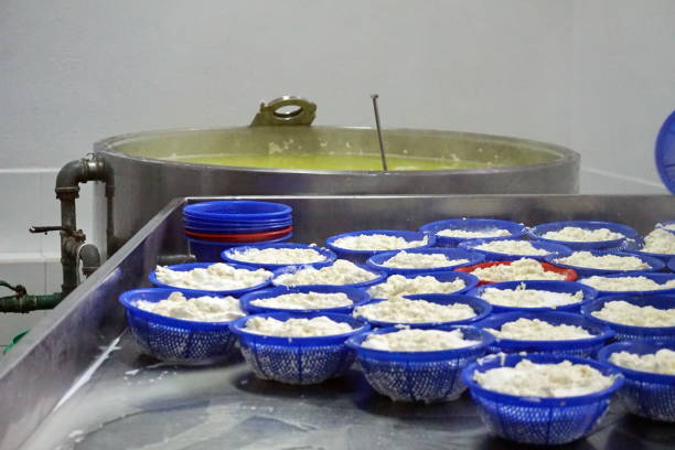 istock Cheese curds in bowls in a cheese factory 954509678