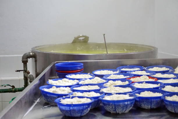 istock Cheese curds in bowls in a cheese factory 954509736