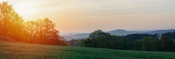 istock Trees and meadow in sunrise. Czech landscape 954514014