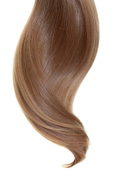 istock Natural hair on a white background 954514264