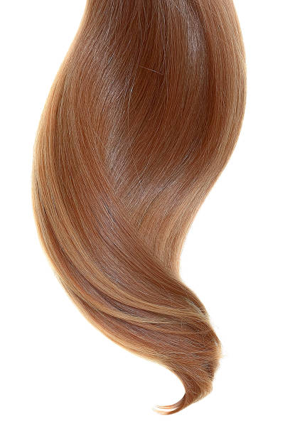 istock Natural hair on a white background 954514266
