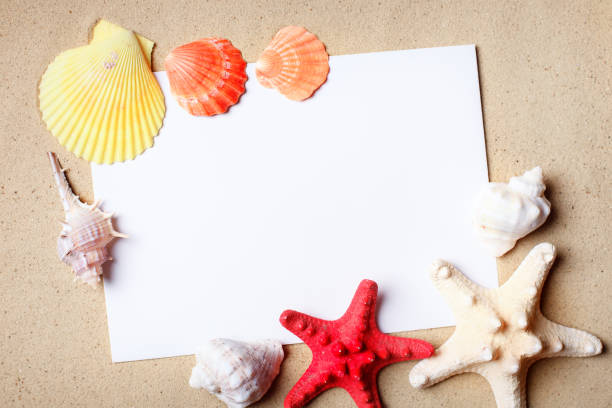 istock Landscape with shells on tropical beach. Rest on the beach. Travel. Background with copy space 954515308