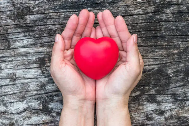 Womenâs heart health care, medical concept with healthy red love heart on aging hand support