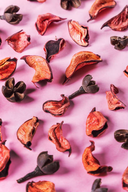 istock dried orange flowers on pink background 954519330