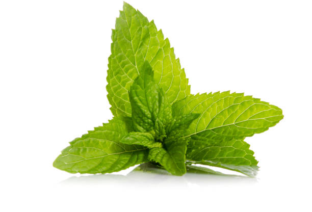 istock green leaves of fresh mint  isolated on white background 954522476