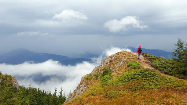 istock person walking in mountain 954523544