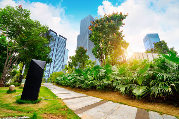 istock Chongqing's modern buildings 954529270