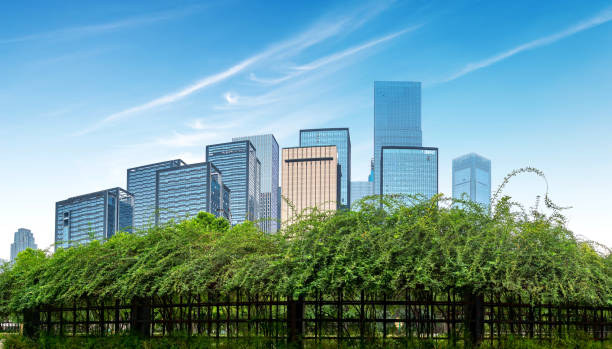 istock Chongqing's modern buildings 954529378