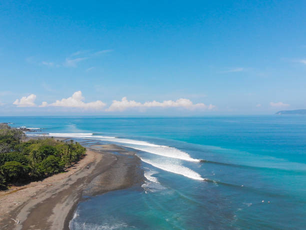 istock Surfing in Costa Rica 954532602
