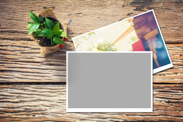 istock Green plant on wooden table with photos 954534832