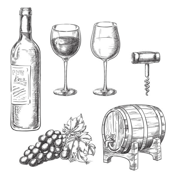 wein-skizze-vektor-illustration. flaschen, gläser, weinrebe, fass, korkenzieher, von hand gezeichnete isolierte design-elemente. - grape vineyard vine winery stock-grafiken, -clipart, -cartoons und -symbole