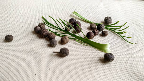 istock Pimento, allspice and horseradish 954542224