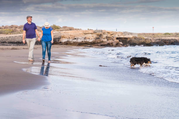 istock couple walk at the beach with a dog 954542738