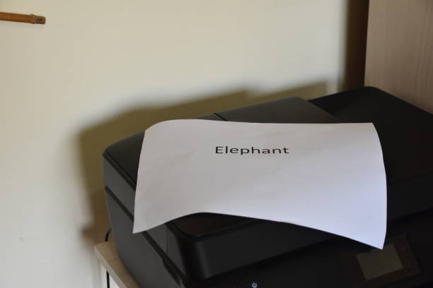 istock The elephant in the room 954545420
