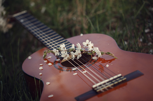 Guitar lying on grass. Concept: song of spring and love. Toning image.