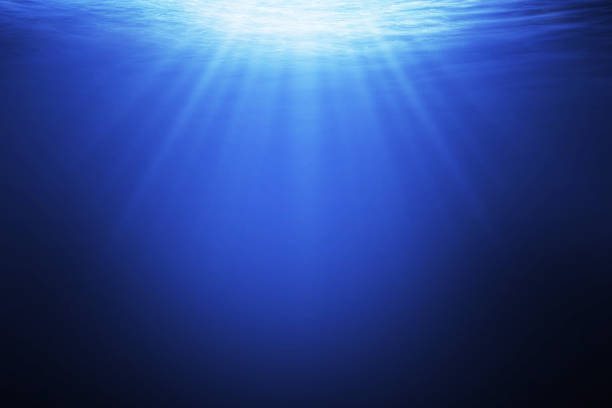 istock Abstract underwater background in the sea 954548972